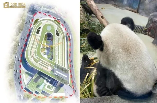 Chengdu Research Base of Giant Panda Breeding-Case sharing
